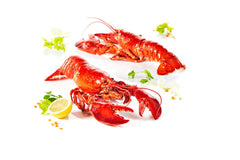 Lobster Whole Cooked 450G FROZEN